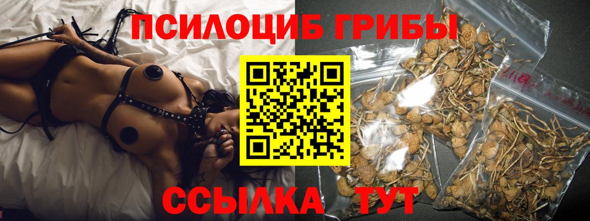 Октябрьский  Галлюциногенные грибы Psilocybine cubensis  Вход с VPN 